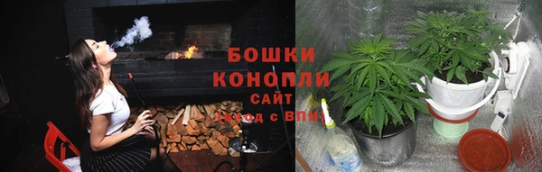 ECSTASY Михайлов