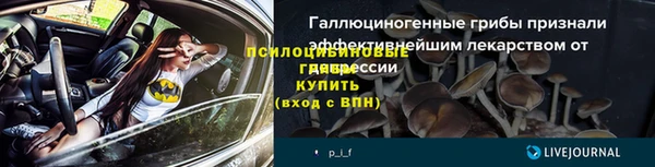 ECSTASY Михайлов
