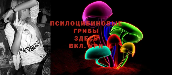 PSILOCYBIN Михайловка