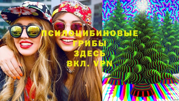ECSTASY Михайлов