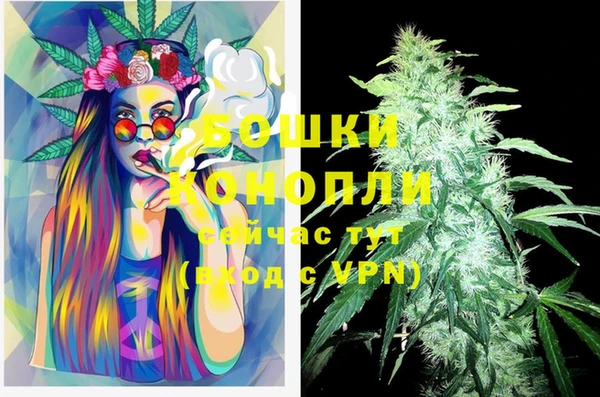 ECSTASY Михайлов