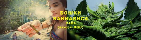 PSILOCYBIN Михайловка