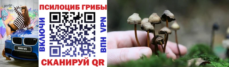 Купить  Махачкала  Псилоцибиновые грибы ЛСД 
